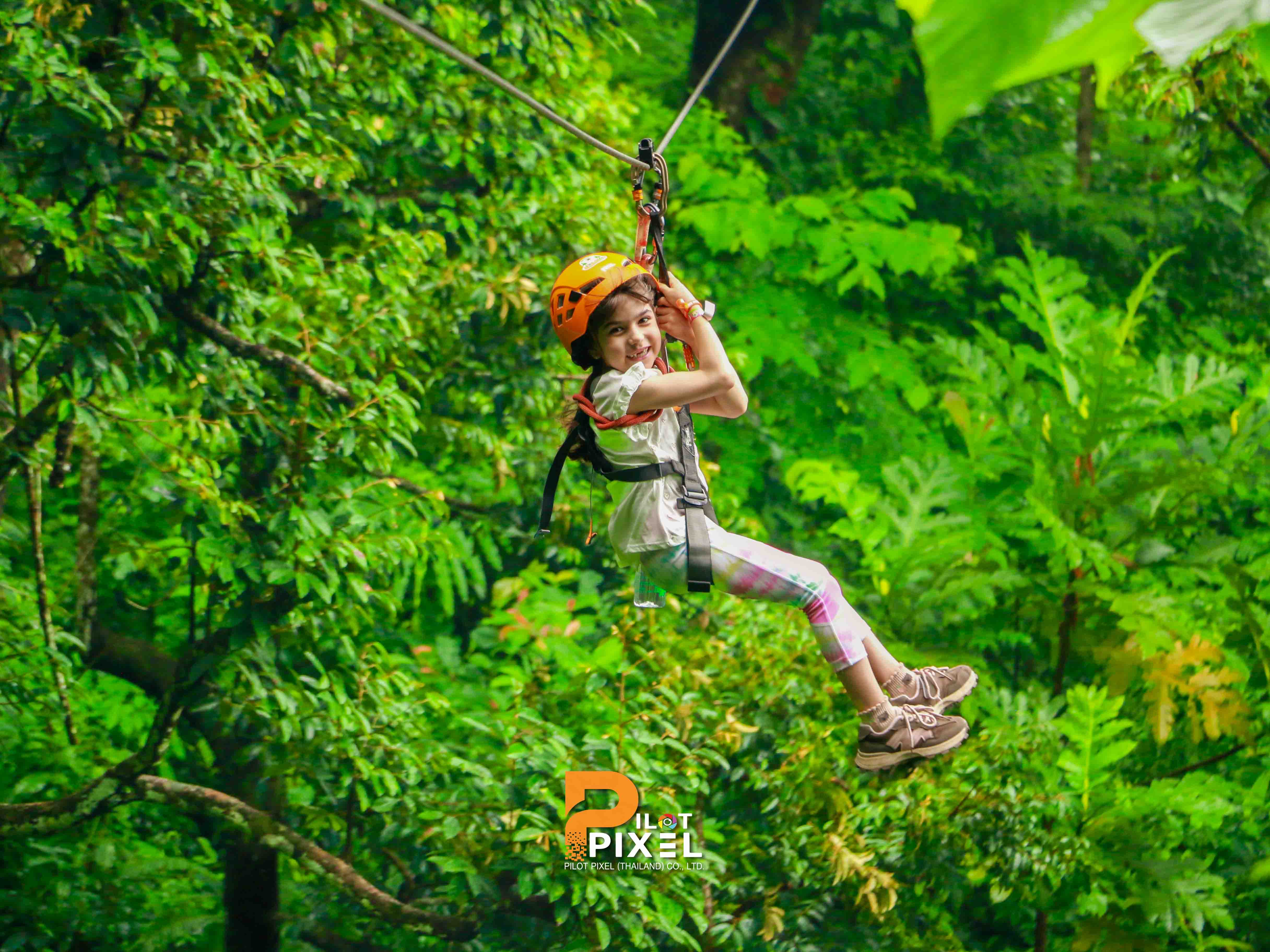 Gallery zipline photo